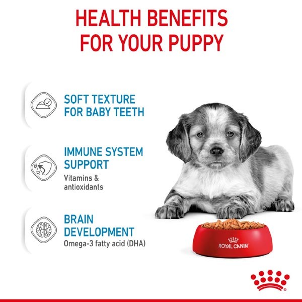 Royal Canin Medium Puppy 140g Wet Dog Food 2 Royal Canin Medium Puppy 140g Wet Dog Food - Image 2