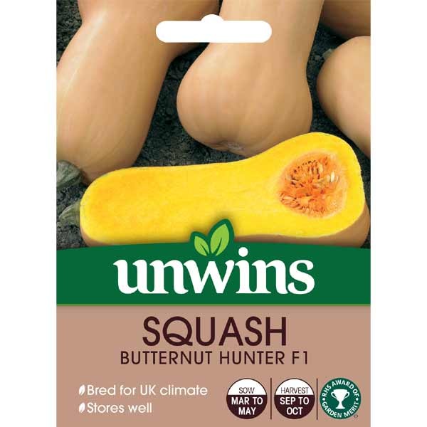 Unwins Butternut Squash Hunter F1 Seeds 1 Unwins Butternut Squash Hunter F1 Seeds