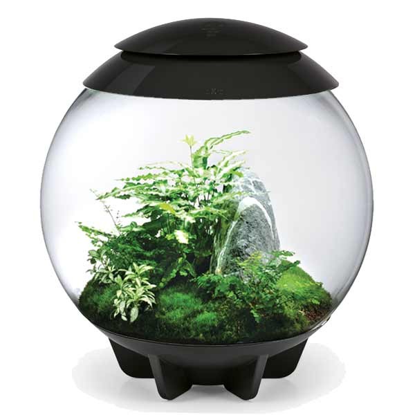 biOrb Air 60 Black 2 biOrb Air 60 Black - Image 2