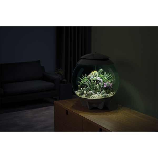 biOrb Air 60 Black 3 biOrb Air 60 Black - Image 3