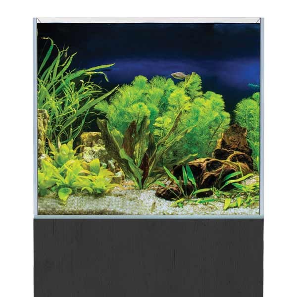 AquaSys 150 Black Ash Aquarium & Cabinet 2 AquaSys 150 Black Ash Aquarium & Cabinet - Image 2