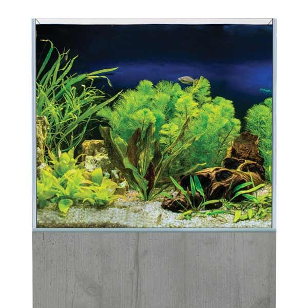 AquaSys 150 Boston Concrete Aquarium & Cabinet 2 AquaSys 150 Boston Concrete Aquarium & Cabinet - Image 2