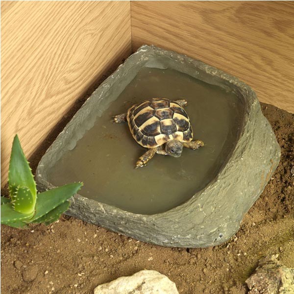 HabiStat Tortoise Table Accessory Kit 6 HabiStat Tortoise Table Accessory Kit - Image 6