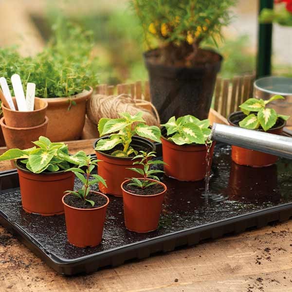 Grow-Sure Watering Tray 2 Pack 3 Grow-Sure Watering Tray 2 Pack - Image 3