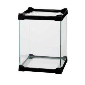 Betta Terra Black Mini Terrarium 16 x 16 x 21cm