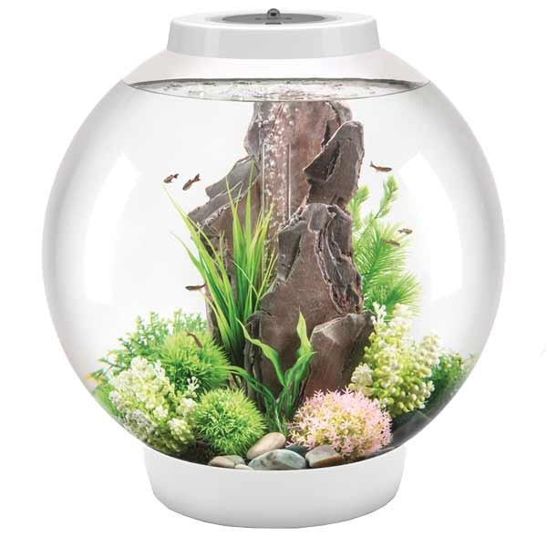 biOrb Classic 60 Litre LED White Aquarium 1 biOrb Classic 60 Litre LED White Aquarium