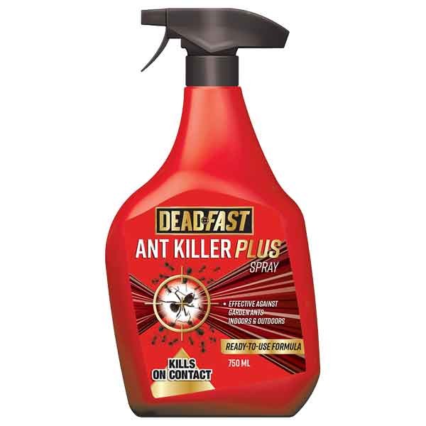 Deadfast Ant Killer Plus Spray 750ml 1 Deadfast Ant Killer Plus Spray 750ml