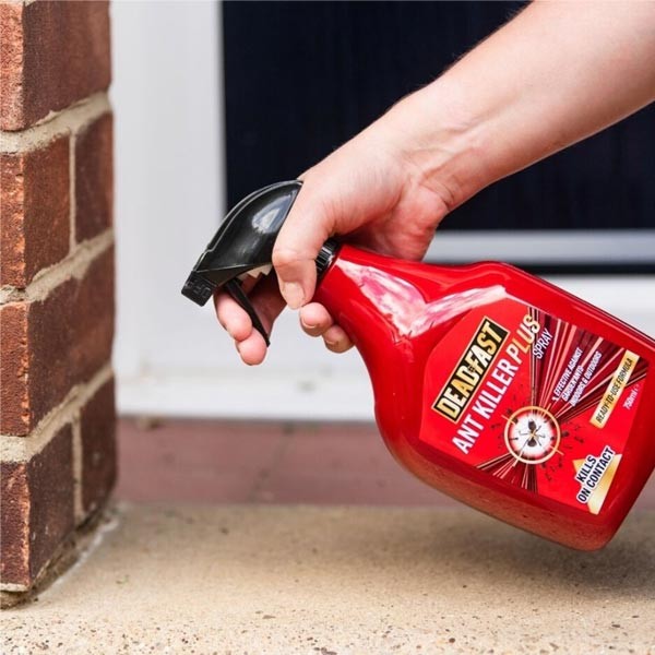 Deadfast Ant Killer Plus Spray 750ml 3 Deadfast Ant Killer Plus Spray 750ml - Image 3