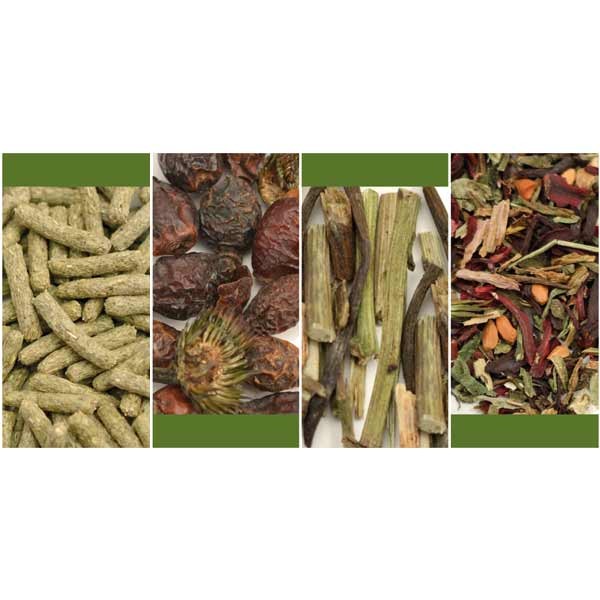 Reptile Systems Tortoise Mix 125g 2 Reptile Systems Tortoise Mix 125g - Image 2