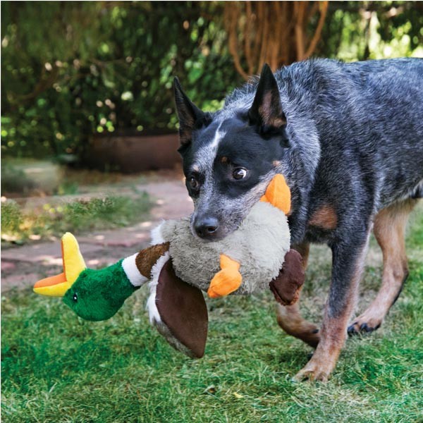 KONG Shakers Honkers Flamingo Small Dog Toy 2 KONG Shakers Honkers Flamingo Small Dog Toy - Image 2