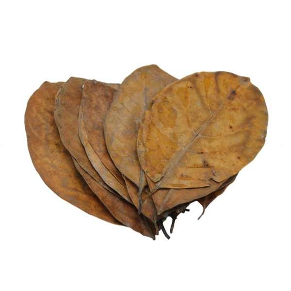 Nature4pets Jack Leaves 20 Pack 2 Nature4pets Jack Leaves 20 Pack - Image 2