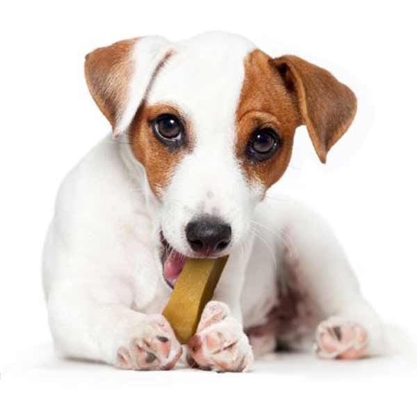 Yakers Yak Milk Chew Original Small Single Dog Treat 4 Yakers Yak Milk Chew Original Small Single Dog Treat - Image 4
