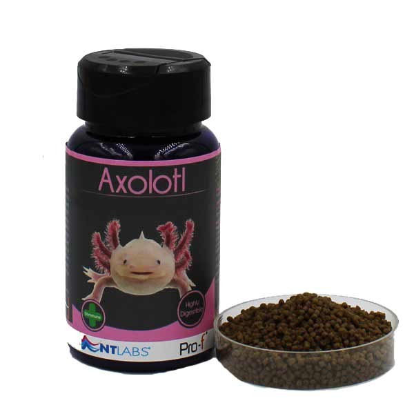 NT Pro-F Axolotl Adult Pellet 165g 2 NT Pro-F Axolotl Adult Pellet 165g - Image 2
