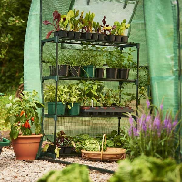 Grow it Premium Growhouse Extra Shelving 2 Grow it Premium Growhouse Extra Shelving - Image 2