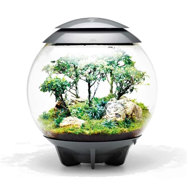 biOrb Air 30 Grey 2 biOrb Air 30 Grey - Image 2