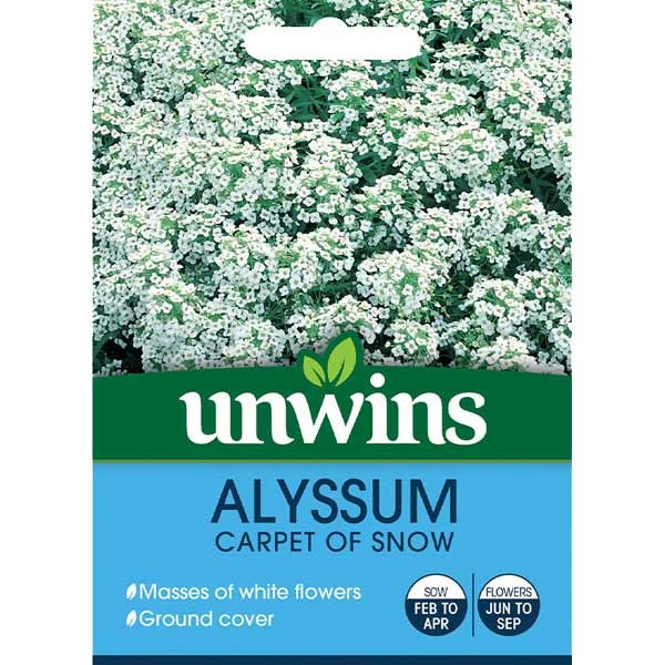 Unwins Alyssum Carpet Of Snow Seeds 1 Unwins Alyssum Carpet Of Snow Seeds