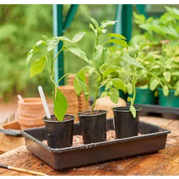 Grow it Standard Gravel Tray Rigid Single 2 Grow it Standard Gravel Tray Rigid Single - Image 2