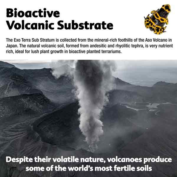 Exo Terra Sub Stratum Bioactive Volcanic Substrate 4kg (8.8lbs) 2 Exo Terra Sub Stratum Bioactive Volcanic Substrate 4kg (8.8lbs) - Image 2