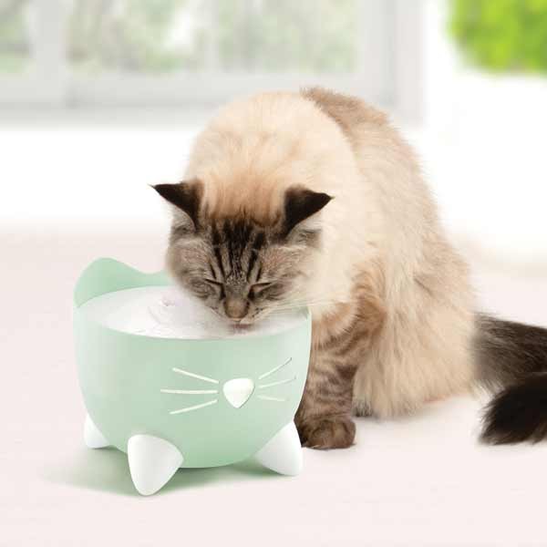 Catit Pixi Fountain Mint Green 5 Catit Pixi Fountain Mint Green - Image 5