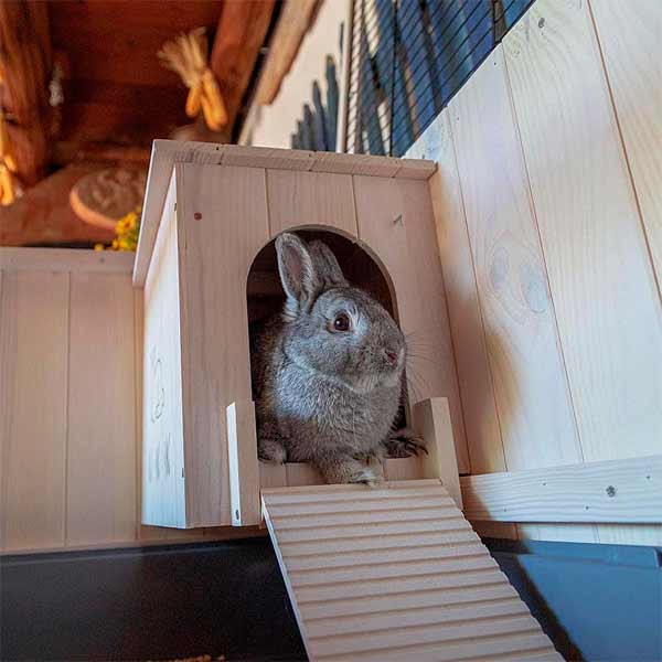 Ferplast Cottage Medium Indoor Rabbit Hutch 6 Ferplast Cottage Medium Indoor Rabbit Hutch - Image 6