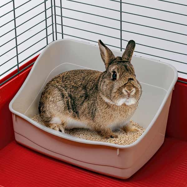 Ferplast L305 Rabbit Toilet 3 Ferplast L305 Rabbit Toilet - Image 3
