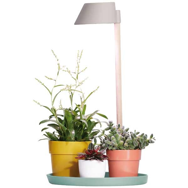 Elho Plant Light Care Glacier Grey 2 Elho Plant Light Care Glacier Grey - Image 2