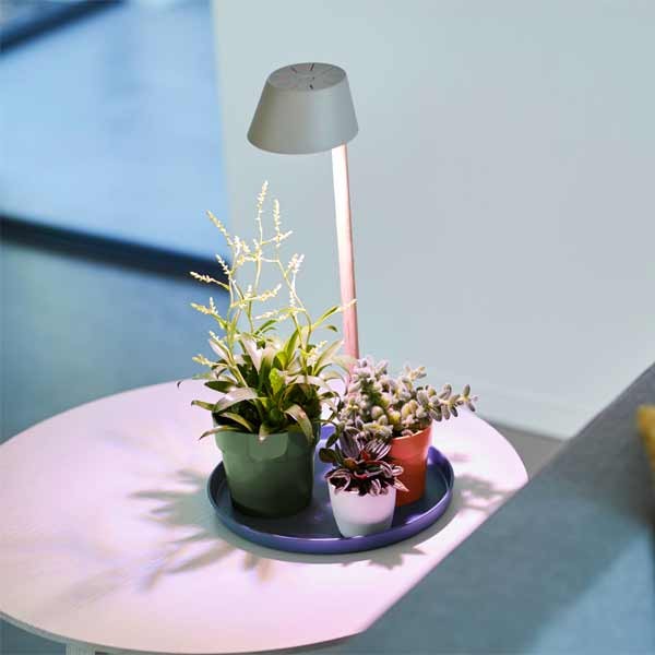 Elho Plant Light Care Glacier Grey 5 Elho Plant Light Care Glacier Grey - Image 5