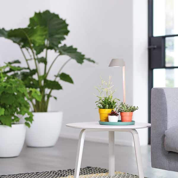Elho Plant Light Care Glacier Grey 6 Elho Plant Light Care Glacier Grey - Image 6