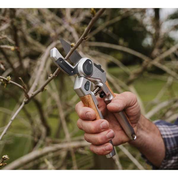 Kent & Stowe Eversharp Anvil Secateurs 5 Kent & Stowe Eversharp Anvil Secateurs - Image 5