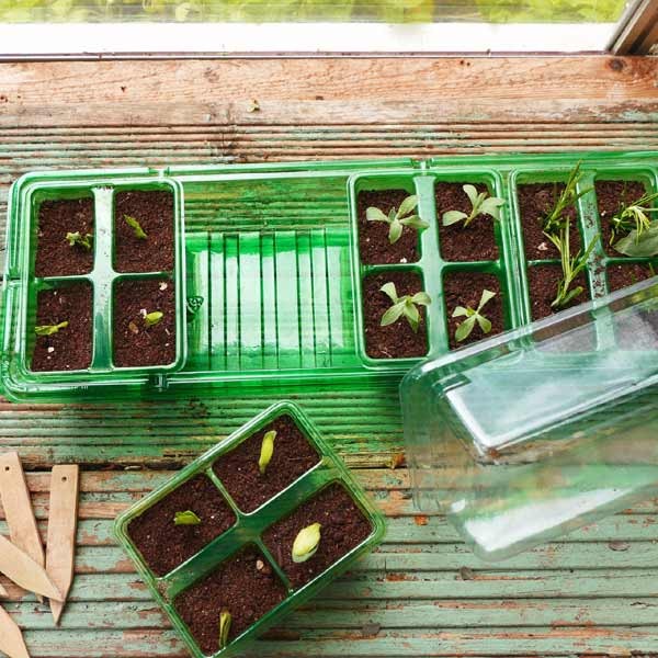 Gro-Sure Visiroot Windowsill Propagator Set 3 Gro-Sure Visiroot Windowsill Propagator Set - Image 3