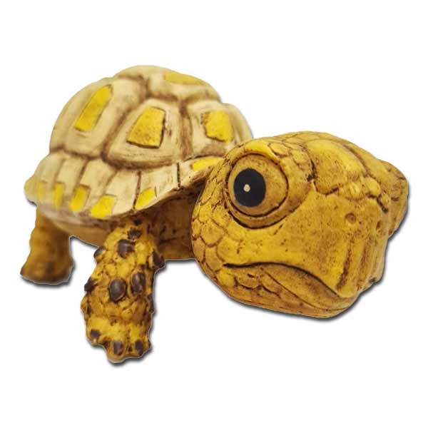 Betta Baby Turtle Décor 1 Betta Baby Turtle Décor