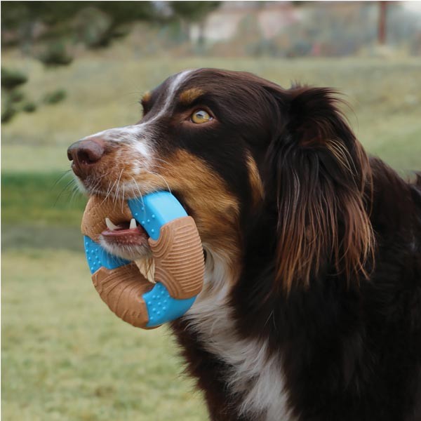 KONG Core Strength Bamboo Bone Large Dog Toy 2 KONG Core Strength Bamboo Bone Large Dog Toy - Image 2