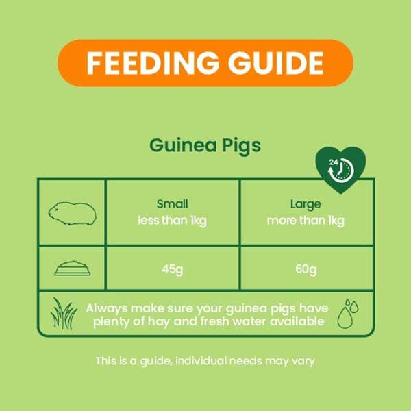 Burgess Excel Guinea Pig Nuggets Mint 1.5kg + 20% Extra Free 3 Burgess Excel Guinea Pig Nuggets Mint 1.5kg + 20% Extra Free - Image 3