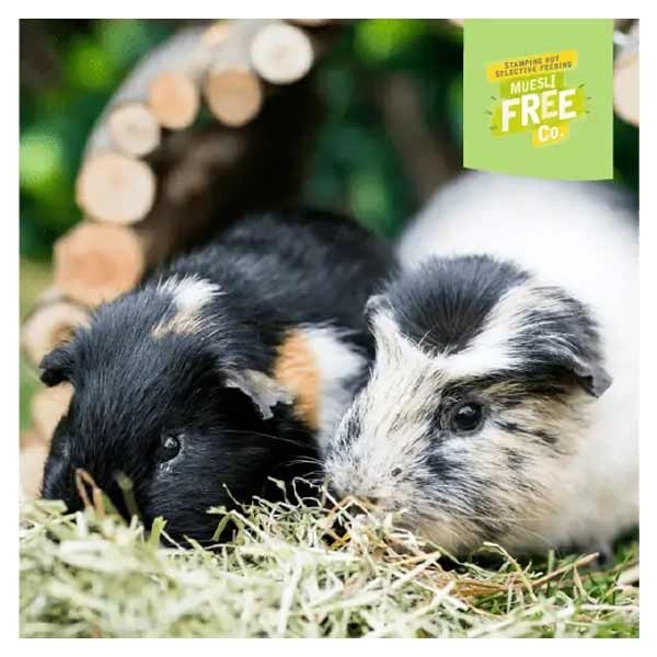 Burgess Excel Guinea Pig Nuggets Mint 1.5kg + 20% Extra Free 4 Burgess Excel Guinea Pig Nuggets Mint 1.5kg + 20% Extra Free - Image 4