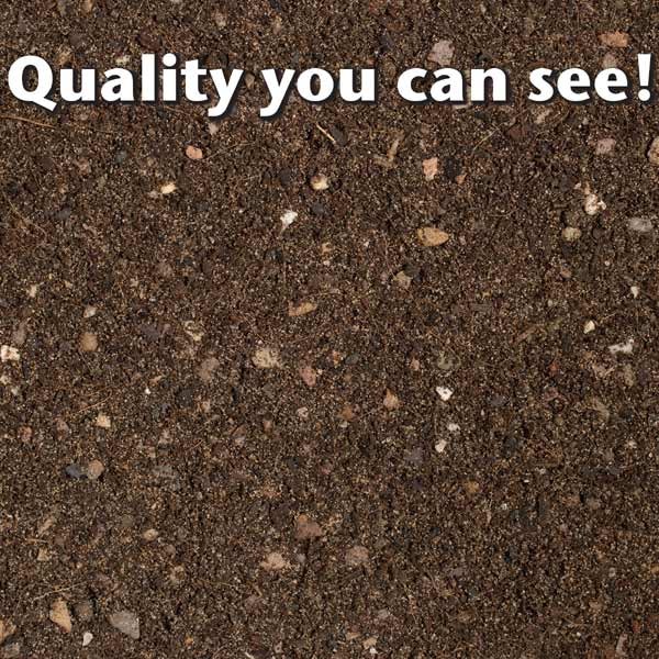 Growth Technology Cactus & Succulent Focus Repotting Mix Peat Free 3 Litres 3 Growth Technology Cactus & Succulent Focus Repotting Mix Peat Free 3 Litres - Image 3