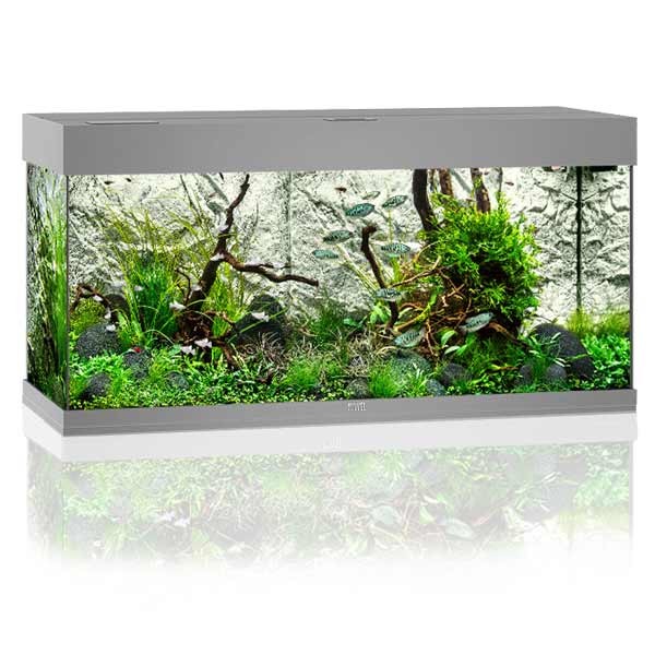 Juwel Rio 180 Grey LED Aquarium 1 Juwel Rio 180 Grey LED Aquarium