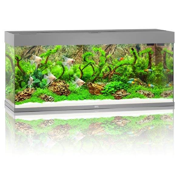 Juwel Rio 240 Grey LED Aquarium 1 Juwel Rio 240 Grey LED Aquarium