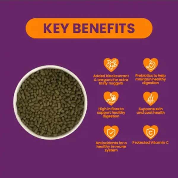 Burgess Excel Guinea Pig Blackcurrant & Oregano Nuggets 1.5kg 2 Burgess Excel Guinea Pig Blackcurrant & Oregano Nuggets 1.5kg - Image 2