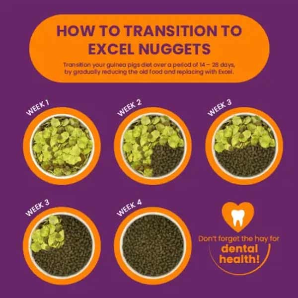 Burgess Excel Guinea Pig Blackcurrant & Oregano Nuggets 1.5kg 4 Burgess Excel Guinea Pig Blackcurrant & Oregano Nuggets 1.5kg - Image 4