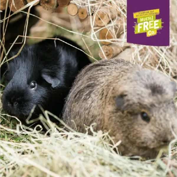 Burgess Excel Guinea Pig Blackcurrant & Oregano Nuggets 1.5kg 5 Burgess Excel Guinea Pig Blackcurrant & Oregano Nuggets 1.5kg - Image 5