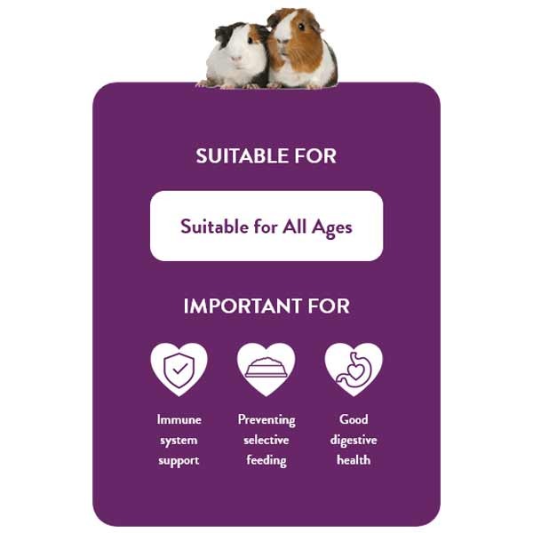 Burgess Excel Guinea Pig Blackcurrant & Oregano Nuggets 1.5kg 6 Burgess Excel Guinea Pig Blackcurrant & Oregano Nuggets 1.5kg - Image 6