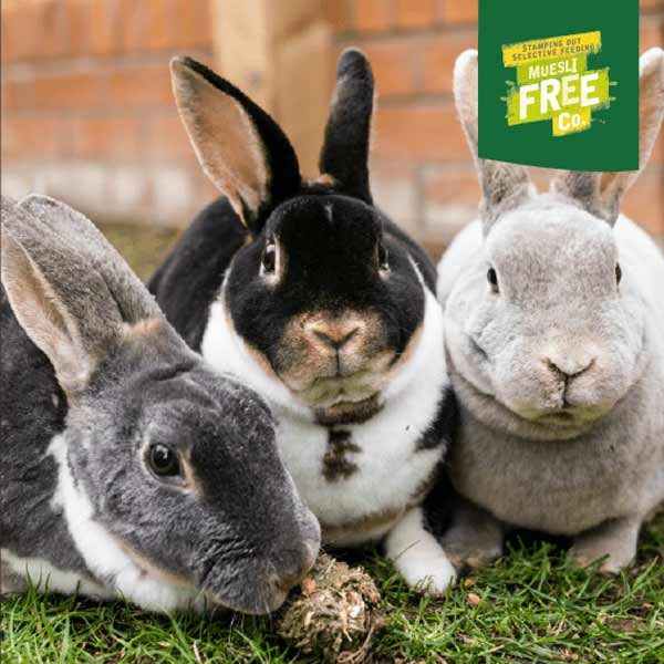 Burgess Excel Rabbit Mature Cranberry & Thyme Nuggets 1.5kg 5 Burgess Excel Rabbit Mature Cranberry & Thyme Nuggets 1.5kg - Image 5