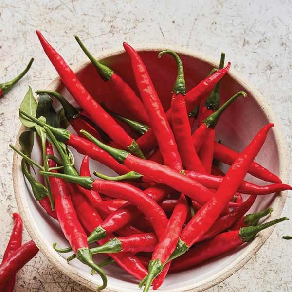 Unwins Chilli Pepper Reggae Seeds 2 Unwins Chilli Pepper Reggae Seeds - Image 2