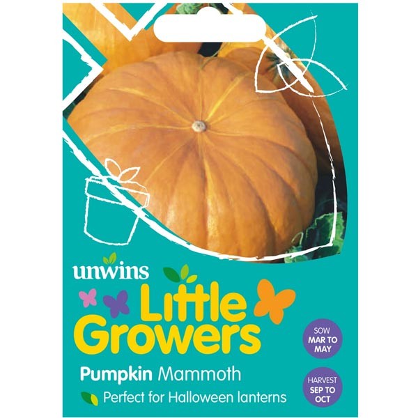 Unwins Little Growers Pumpkin Mammoth Seeds 1 Unwins Little Growers Pumpkin Mammoth Seeds