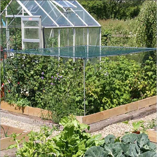 Mainframe Soft Fruit Cage Starter Kit 6x6ft 1 Mainframe Soft Fruit Cage Starter Kit 6x6ft