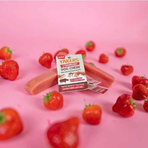Yakers Yak Milk Chew Strawberry Medium Single Dog Treat 2 Yakers Yak Milk Chew Strawberry Medium Single Dog Treat - Image 2