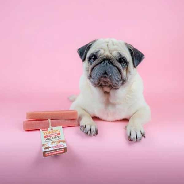 Yakers Yak Milk Chew Strawberry Medium Single Dog Treat 3 Yakers Yak Milk Chew Strawberry Medium Single Dog Treat - Image 3