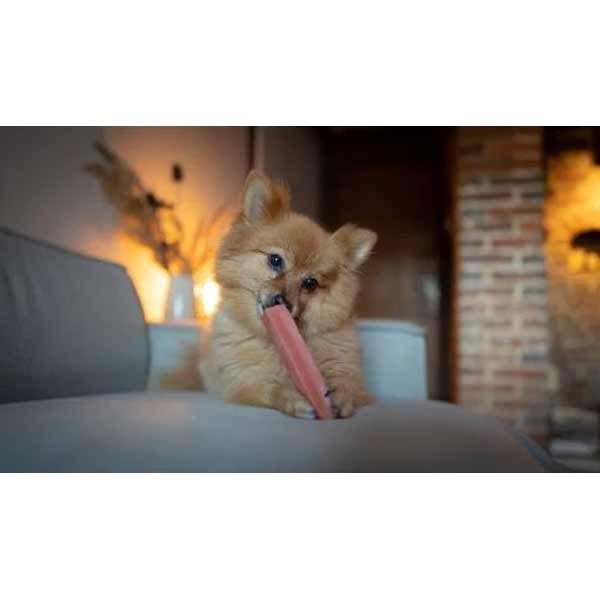 Yakers Yak Milk Chew Strawberry Medium Single Dog Treat 5 Yakers Yak Milk Chew Strawberry Medium Single Dog Treat - Image 5