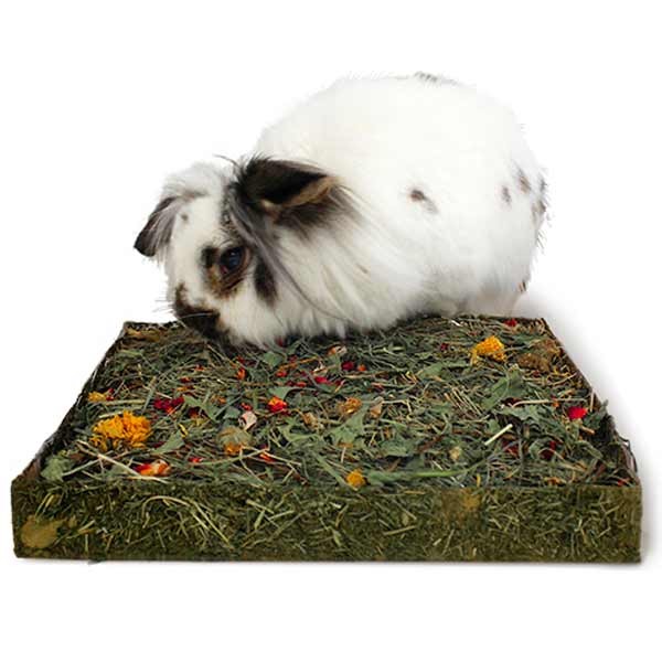 Rosewood Naturals Treats Nibble 'n' Dig Meadow 2 Rosewood Naturals Treats Nibble 'n' Dig Meadow - Image 2