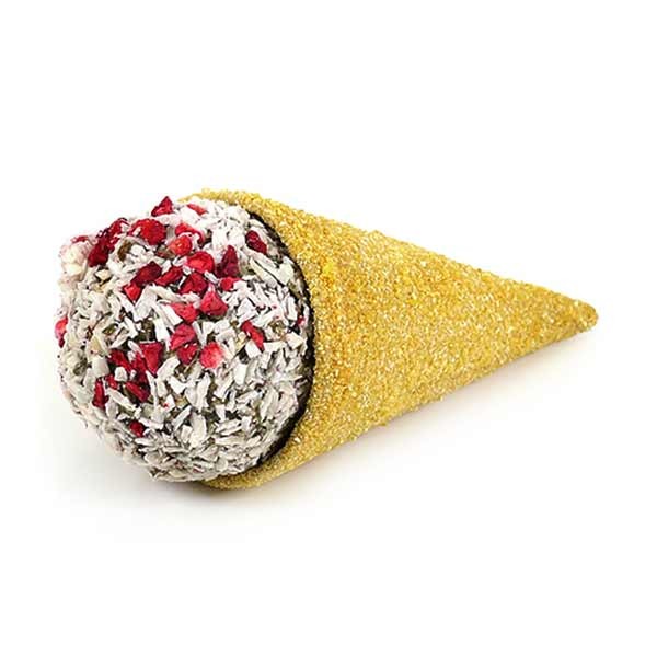Rosewood Naturals Treats Raspberry 'n' Coconut Cone 2 Rosewood Naturals Treats Raspberry 'n' Coconut Cone - Image 2